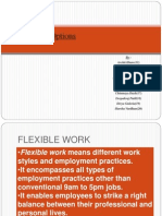 Flexible Work Options