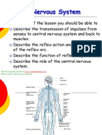 Nervous System: This Powerpoint Is Hosted On Please Visit For 1000+ Free Powerpoints