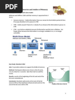 Memory Revision Guide GCSE