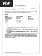 BIONETWORK Virtual Microscope Guide | PDF | Optical Devices | Microscopy