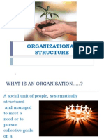 Org Stucture