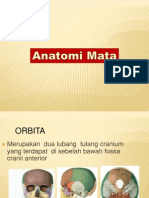 Anatomi Mata