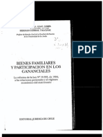 Bienes Familiares y Participacion en Los Gananciales Prologo 1996