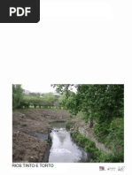 SistemasEstruturantes TINTO e TORTO