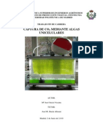 Captura de Co2 Mediante Algas