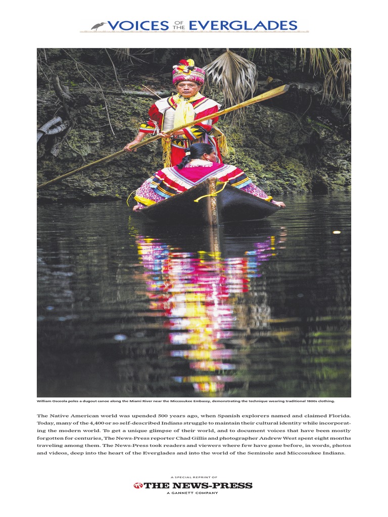 Everglades experience essay picture