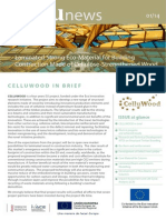 First CELLUWOOD Newsletter 