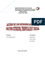 ACCION DE LOS MICROORGANISMOS EN LOS CITRICOS.docx