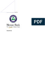 Meezan Bank Internship Report