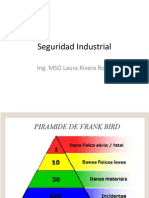 Seguridad Industrial SO