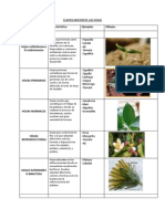 Clasificacion