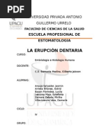 ERUPCIÓN DENTARIA - EMBRIOLOGÍA
