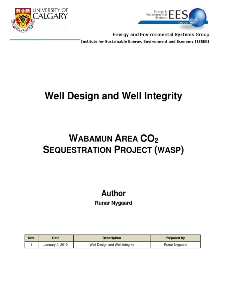 Well Integrity Analysis | PDF
