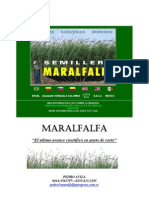 Estudio Sobre Maralfalfa