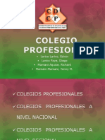 Colegio Profesional Exposicion