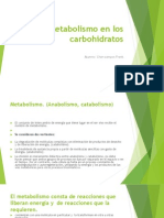 Metabolismo en Los Carbohidratos