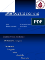 blastocystishominis-100206164909-phpapp01