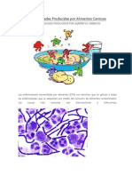 Que Enfermedades Adquiere en Los Alimentos