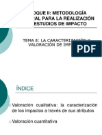 Metodologias de Evaluacion de Impacto Ambiental