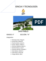Informe San Pablo 1