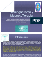 Biomagnetismo