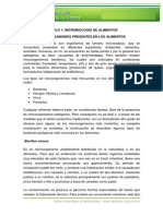 Microorganismos Presentes en Los Alimentos