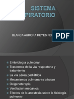 Sistema Respiratorio