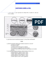 Cuestiones sobre la piel 