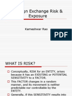 Foreign Exchange Risk & Exposure: Kameshwar Rao