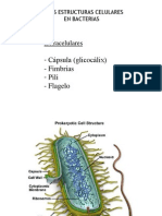 Clase 4 Capsula, Frimbia, Pili, Flagelo