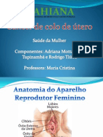 Saude Da Mulher - CA Colo de Utero