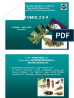 Entomologia - II Unidad - Clase Homopteraa