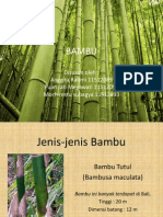Material Bambu