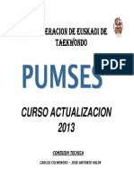 PUMSES Curso Actualizacion Abril 2013