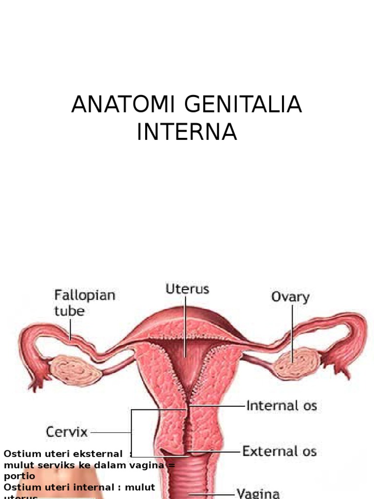 U toyda külotsiz korindi.