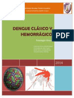 dengue d d