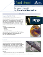 Peach-Nectarine Pests & MGMT