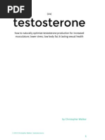 Download Testasterone IO The Black Edition by RideIT SN234208902 doc pdf