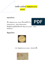 Staphylococcus Aureus