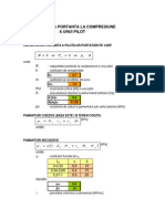 Capacitate Portanta Pilot