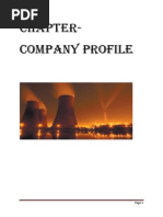 Company Profile