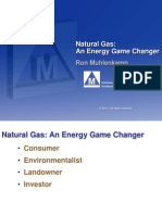 Muhlenkamp Natural Gas