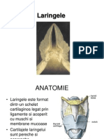 Laringe-Curs ORL