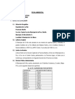 Contenido Ficha Ambiental (Limpio)