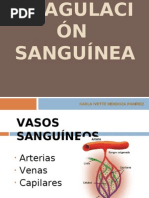 COAGULACIÓN SANGUÍNEA