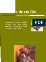 Diario de Um Cão