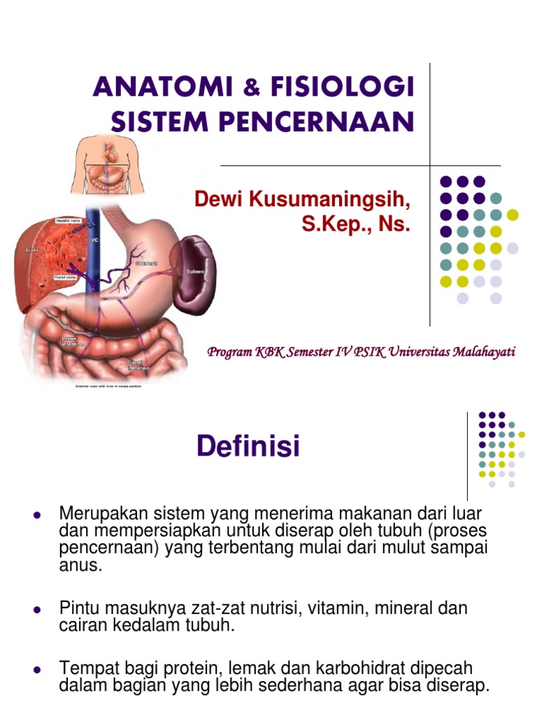 Gambar Anatomi And Fisiologi Sistem Pencernaan