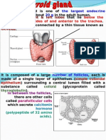 Endocrinol Pred 04