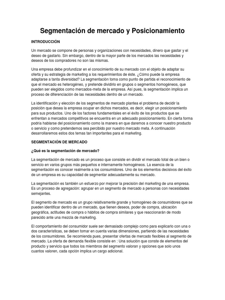 Segunda Unidad - Segmentacion de Mercado y Posicionamiento | PDF