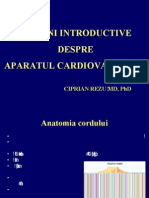 AP. CV - Notiuni Introductive